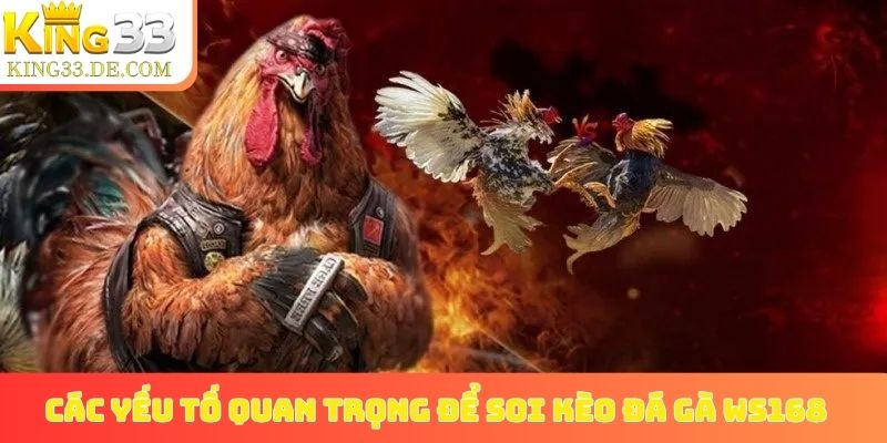 Các yếu tố quan trọng để soi kèo đá gà WS168