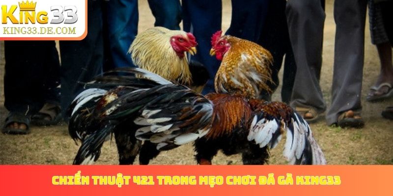 Giải thích chiến thuật 421 trong mẹo chơi đá gà King33