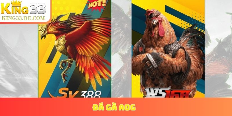 đá gà AOG