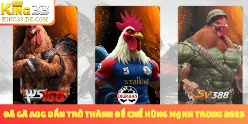 Đá gà AOG dần trở thành đế chế hùng mạnh trong 2025