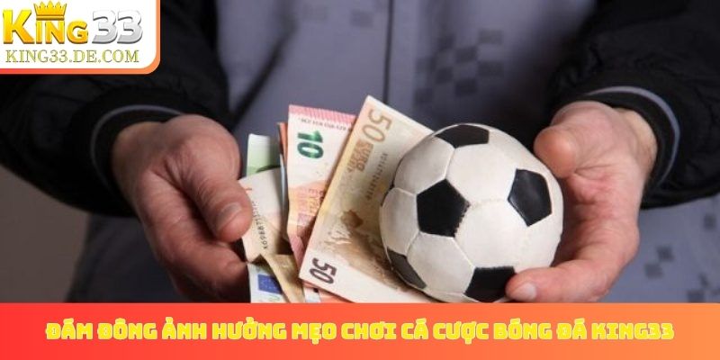 Đừng để đám đông ảnh hưởng mẹo chơi cá cược bóng đá King33
