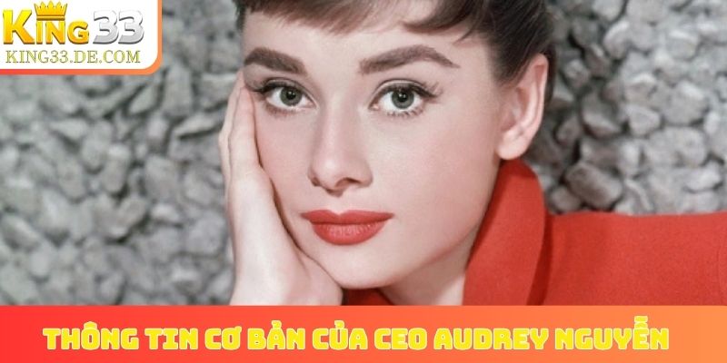 Thông tin cơ bản của CEO Audrey Nguyễn